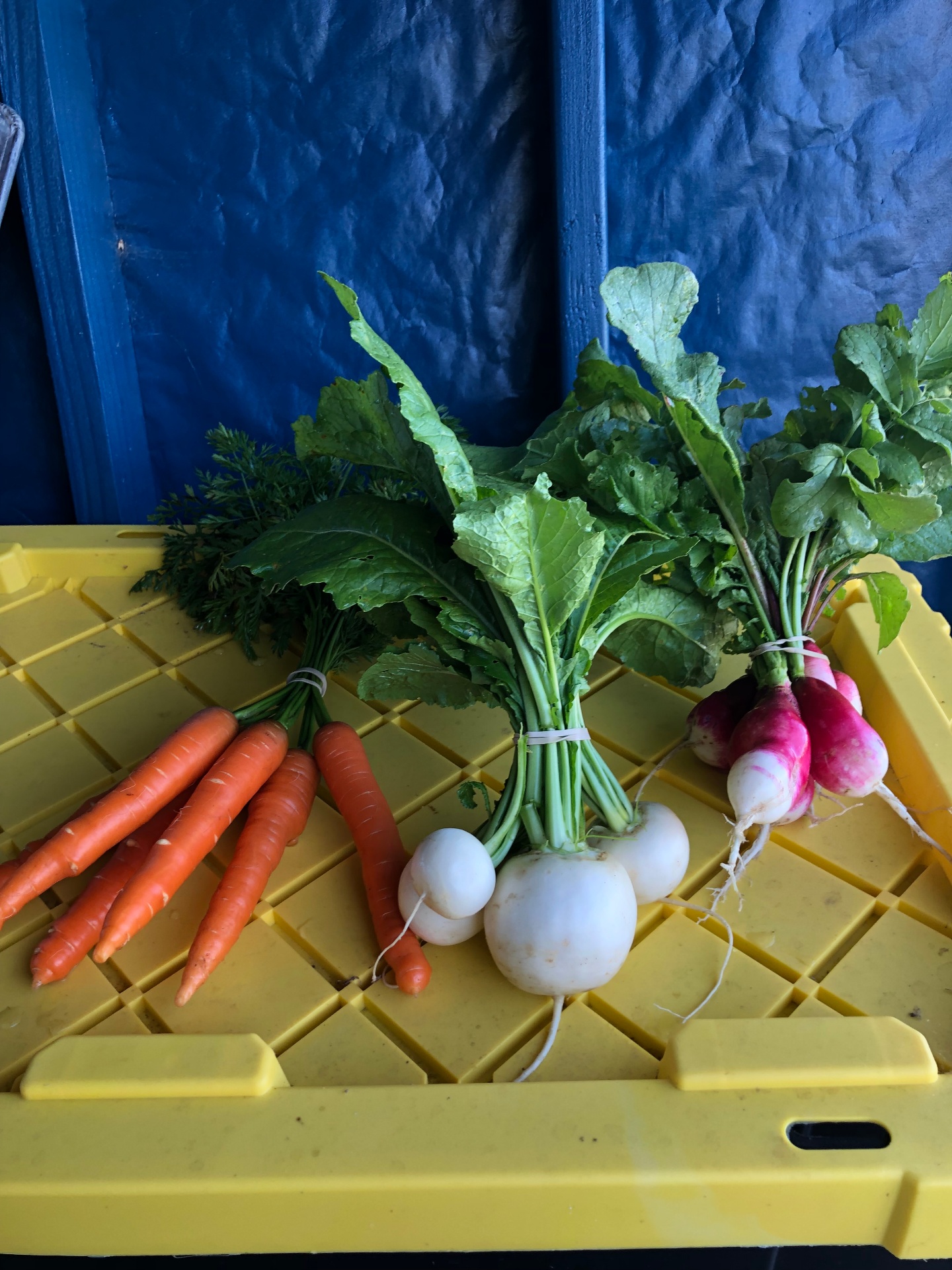 Vegetables & Herbs